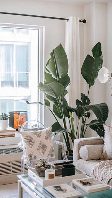 alquiler apartamentos por dias y meses
